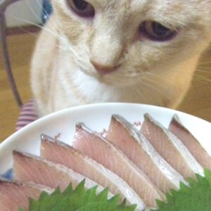 黙って出したら家族はカツオと間違えた？！ブリの刺身